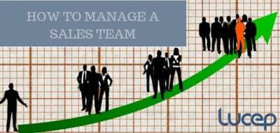 how to manage a sales team